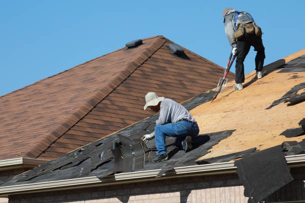 Best Roof Ventilation Installation  in Northwest Harborcreek, PA