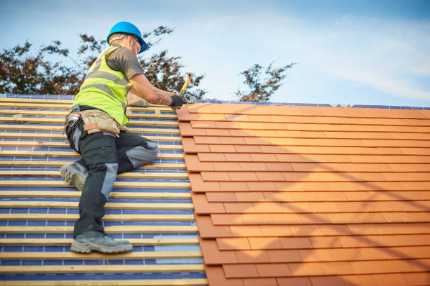 Best Sheet Metal Roofing  in Northwest Harborcreek, PA
